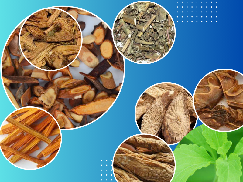 Bài thuốc trị gout